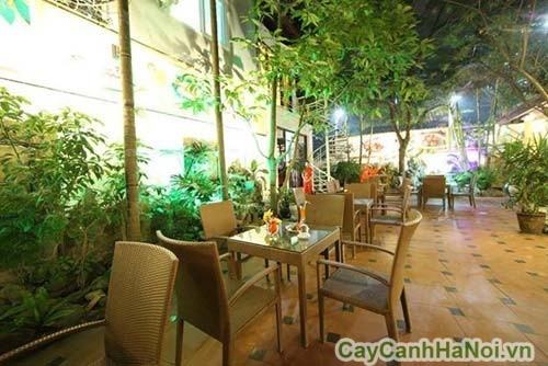 Phong thủy cây xanh nhà hàng