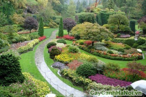Thiết kế sân vườn Châu Âu đẹp