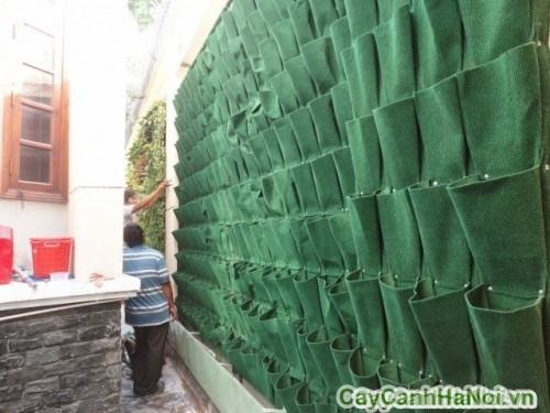 Vật liệu thi công vườn tường