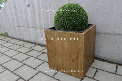Chậu nhựa composite iPot trồng cây vuông | IP-00086