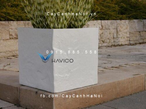 Chậu cây cảnh composite Havico vuông| HVC-00022