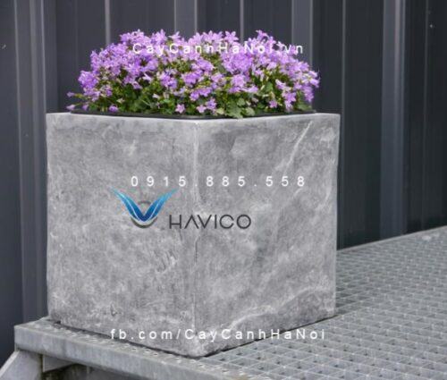 Chậu nhựa trồng cây composite Havico vuông| HVC-00021