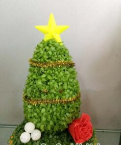 Cây May Mắn Cây Thông Noel Chậu Trái Tim