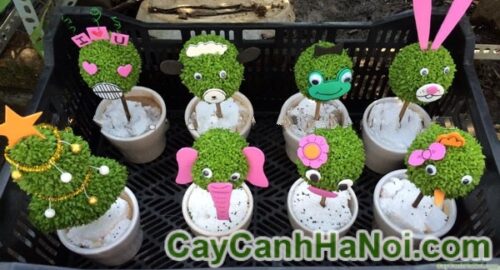 Cây May Mắn Quả Cầu Con Thỏ 6 Cây May Mắn Quả Cầu Con Thỏ