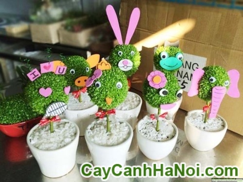 Cây May Mắn Quả Cầu Con Thỏ 8 Cây May Mắn Quả Cầu Con Thỏ