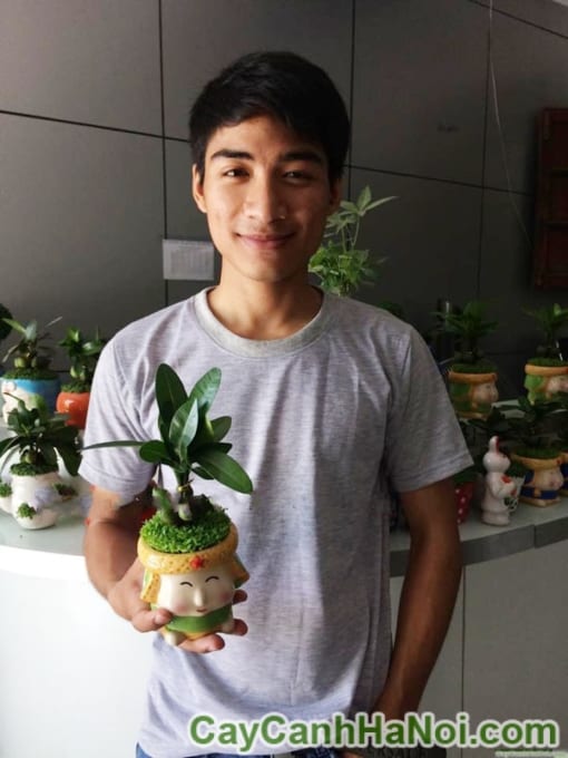Cây May Mắn Tài Lộc Cậu Bé Mắt Híp