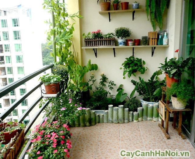 Tiểu cảnh ban công Tiểu cảnh ban công
