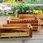Chậu gỗ trồng cây chữ nhật trung | DCDSP413T