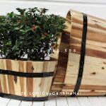 Chậu gỗ trồng cây oval nhỏ | DCDSP301N