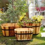 Chậu gỗ trồng cây oval trung | DCDSP301T