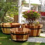Chậu gỗ cao cấp trồng cây tròn mini | DCDSP002BM