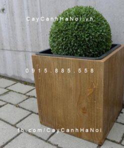 Chậu nhựa trồng cây composite iPot vuông| IP-00094