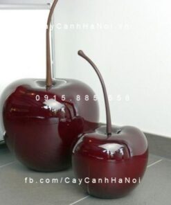 Trái cây composite iPot cherry| IP-00171