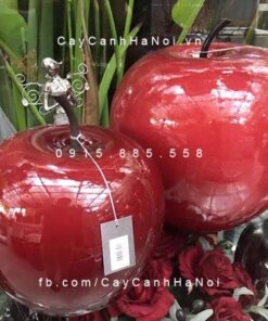 Trái cây composite iPot hình trái táo| IP-00166