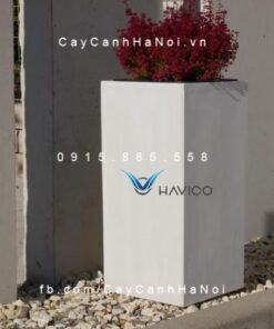 Chậu cây Composite Havico Lazy| HVC-00037