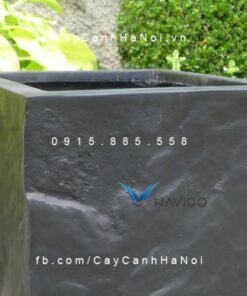 Chậu hoa composite Havico hình vuông| HVC-00024