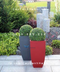 Chậu nhựa trồng cây composite Havico| HVC-00029