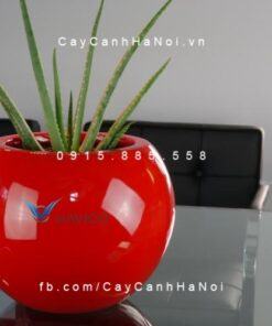 Chậu nhựa trồng cây composite Havico Mina| CB-317