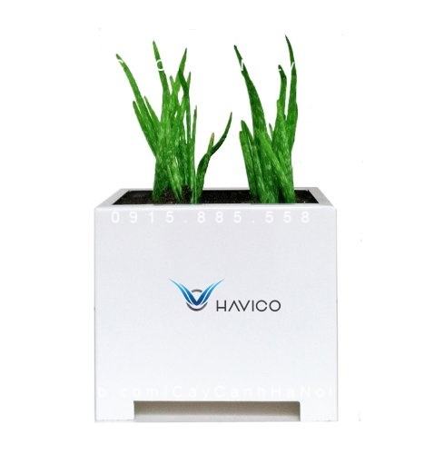 Chậu nhựa trồng cây composite Havico vuông| HVC-00013