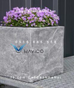Chậu nhựa trồng cây composite Havico vuông| HVC-00021