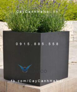 Chậu trồng cây composite Havico cao cấp| HVC-00017