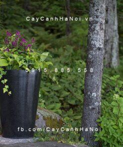 Chậu trồng cây composite Havico tròn cao| HVC-00009