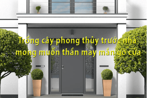 Trồng cây phong thủy trước nhà mong muốn thần may mắn gõ cửa