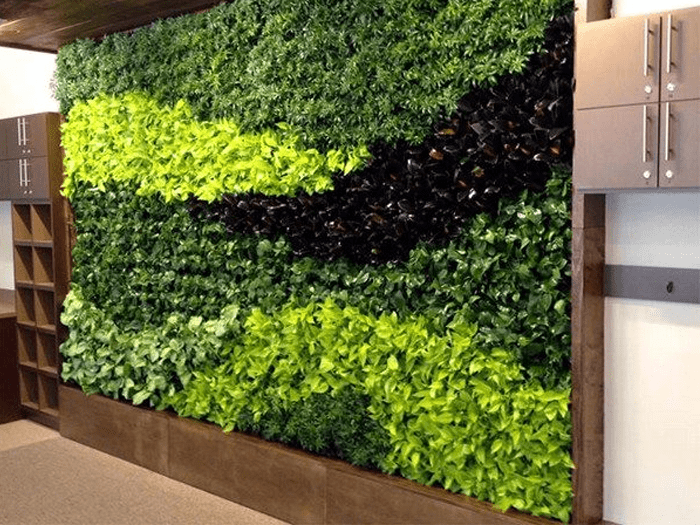 Thảm thực vật xanh trên tường