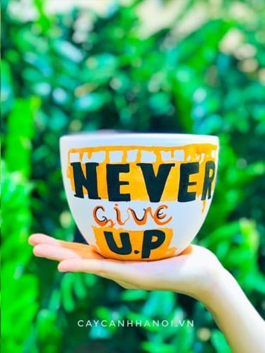 Chậu sứ in slogan "never give up"