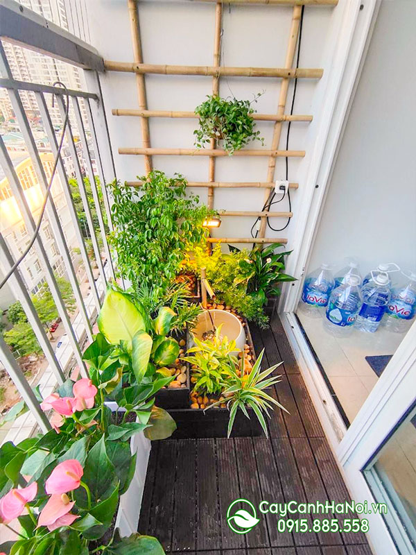 Trồng cây trong nhà chung cư: Thời gian gần đây, xu hướng trồng cây trong nhà chung cư đang được ưa chuộng bởi nhiều người. Với thiết kế thông minh, đầy đủ nguồn nước và ánh sáng, bạn có thể trồng được những loại cây xanh tươi và làm cho không gian sống của mình thêm nhiều sinh khí.