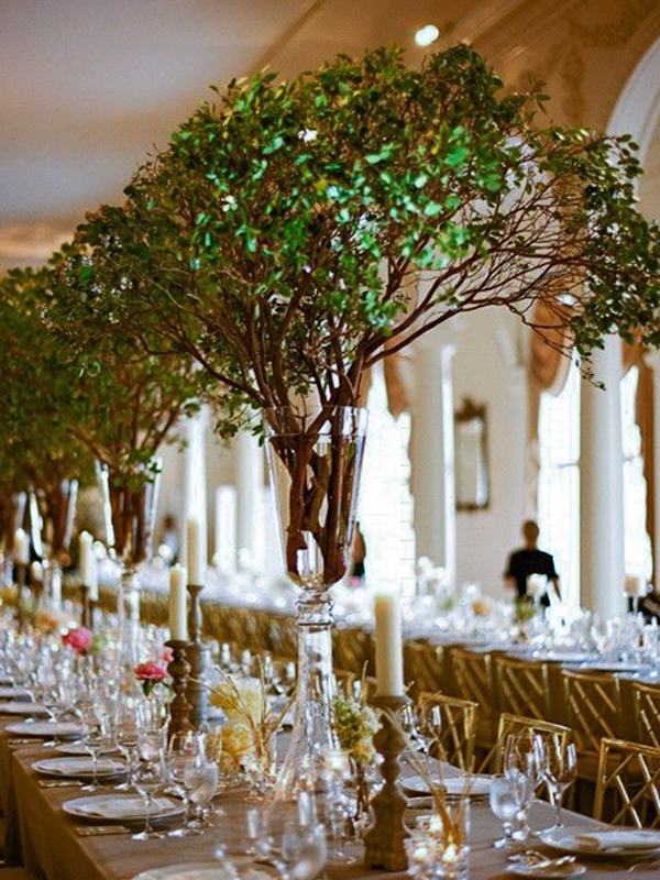 Cho thuê cây cảnh trang trí tiệc cưới