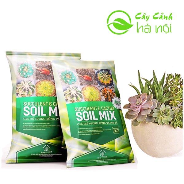 Giá thể Soil Mix dất trộn sẵn trồng sen đá, xương rồng