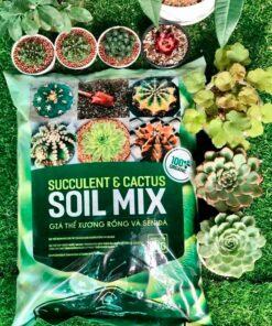 Soil Mix đảm bảo độ dinh dưỡng vừa đủ cho cây