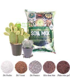 Thành phần hỗn hợp đất trồng sen đá xương rồng Soil Mix