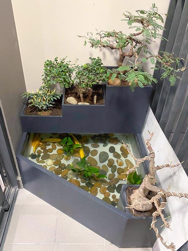 Trang trí ban công với hồ nước và cây bonsai trồng chậu composite