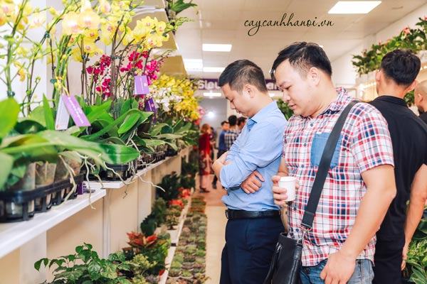 Tuyển nhân viên cắm hoa lan hồ điệp đi làm ngay tại Hà Nội