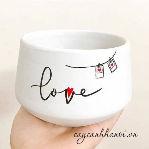 Chậu cây cảnh với slogan love