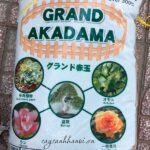 Grand Akadama