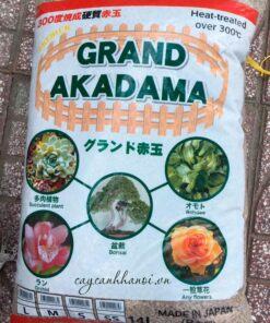 Grand Akadama
