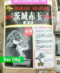 Đặc điểm đất nung Akadama nhập khậu Nhật Bản