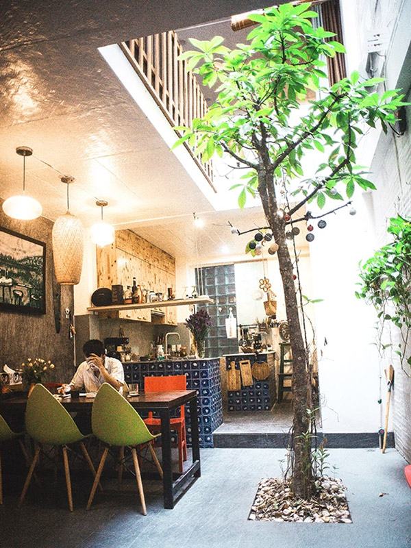 Cây lộc vừng trồng quán cafe tạo không gian xanh mát