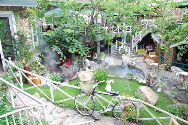 Lợi ích của trang trí cây xanh cho không gian cafe sân vườn