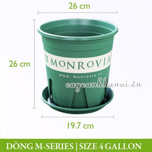 Chậu nhựa Monrovia dòng M-series size 4gl (gallon)