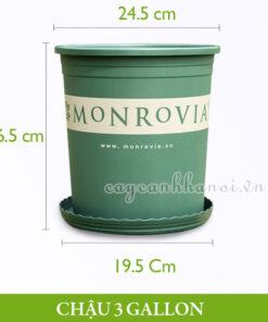 Chậu nhựa Monrovia - O-series - 3 gallon