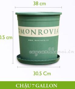 Chậu nhựa Monrovia - O-series - 7 gallon