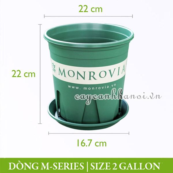 Chậu nhựa Monrovia dòng M-series size 2gl (gallon)