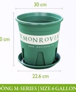 Chậu nhựa Monrovia dòng M-series size 6gl (gallon)