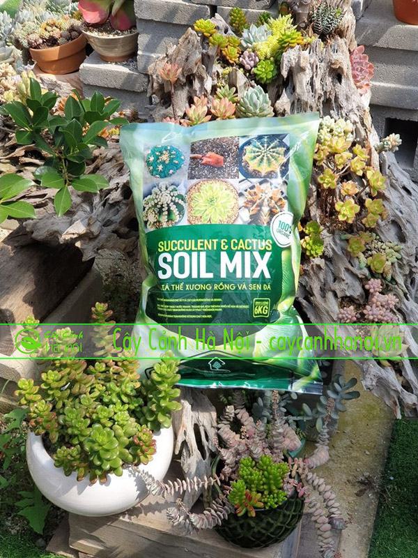 Điểm ưu việt của giá thể trộn sẳn Soil Mix