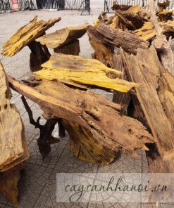 Địa chỉ bán gỗ lũa ghép lan hồ điệp tại Hà Nội