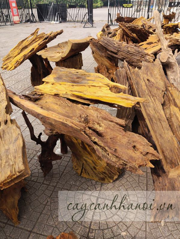 Địa chỉ bán gỗ lũa ghép lan hồ điệp tại Hà Nội
